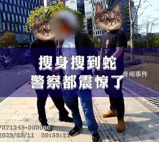 民警從嫌疑人褲兜掏出眼鏡蛇 嫌疑人涉嫌詐騙