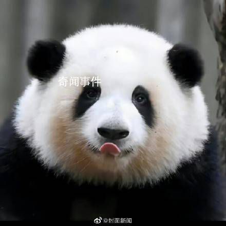 花花今天上班了 休假結束