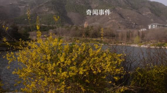 閏二月可以上墳嗎?閏月是什么意思