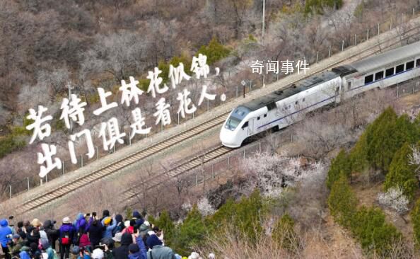 開往春天的列車 登上這列火車一起感受春日的美好吧