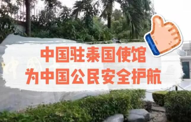 中國駐泰使館:全力維護中國公民安全
