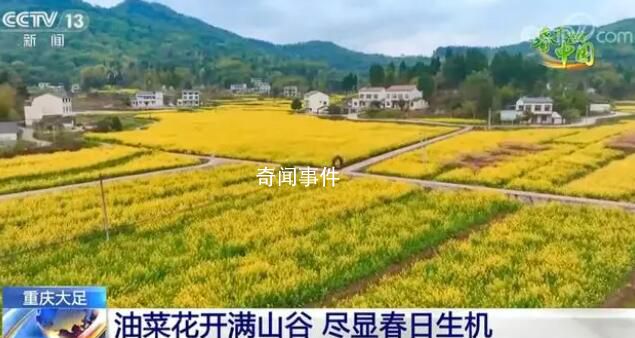 春天里的中國 春意盎然萬象更新