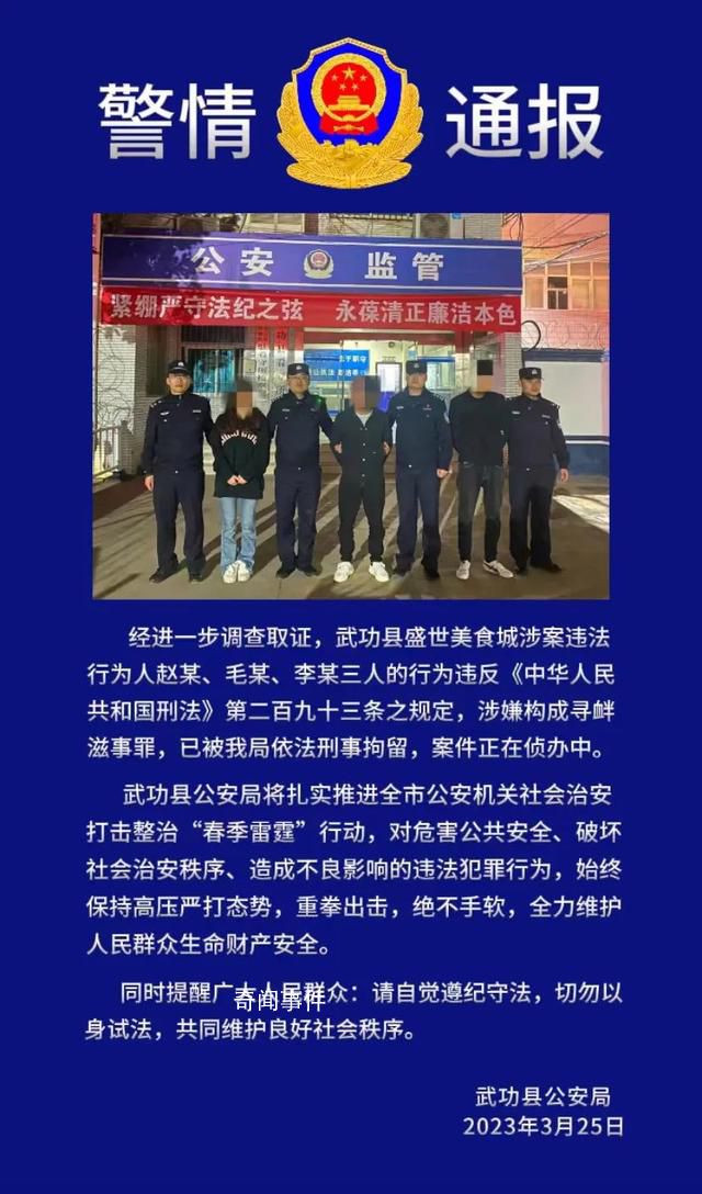 女子美食城遭多人毆打:三人被刑拘