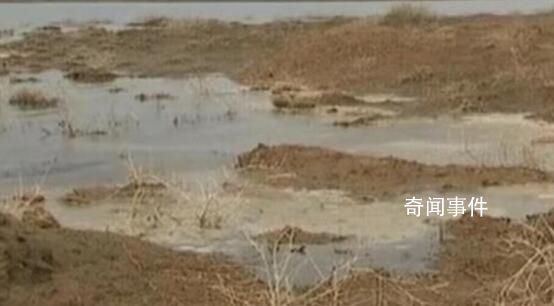 雙馬煤礦曾未經許可擅自破壞林地 判處賠償727.54萬元