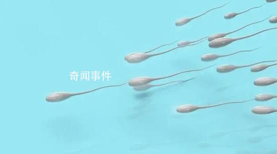 全球男性精子量告急 男性精子數量下降幅度超過60%