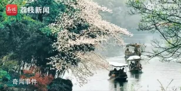 把春天打包給你 打包春天是什么意思
