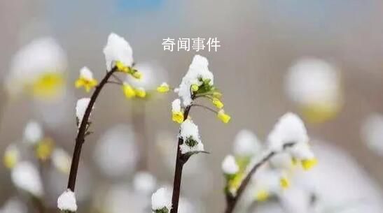 沉浸式倒春寒即將來襲 哪些人群要注意倒春寒
