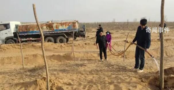 官方通報林場主跪地求水:已安排澆灌