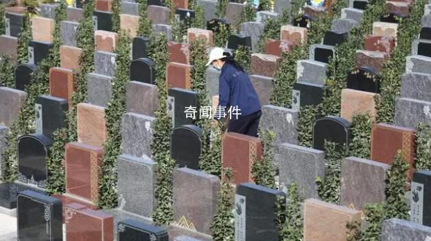 女子每天擦拭上百塊墓碑 每次擦拭之前都要深鞠一躬