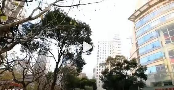 醫(yī)生因糾紛殺害護(hù)士妻子被控制 案件正在進(jìn)一步偵辦中