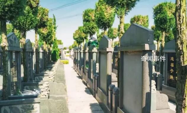 76萬一平米 墓地秒殺一線城市房價