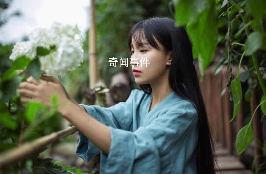 李子柒油管廣告收益 每月視頻播放量依舊能產(chǎn)生廣告收益785320元