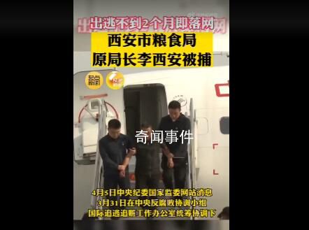 西安糧食局原局長出逃不到2個月落網 李西安個人資料簡介