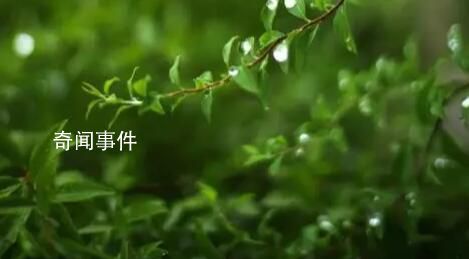 清明節(jié)南北習俗有何不同 北方注重修墳南方燒紙錢等