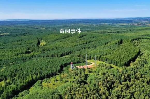 中國為世界交出“綠色答卷” 中國每年造林面積都在1億畝以上
