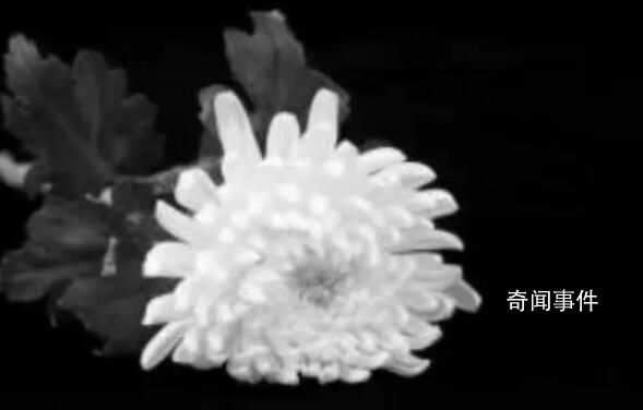 羅志軍遺體送別儀式在北京舉行 因病于2023年4月1日在北京不幸離世