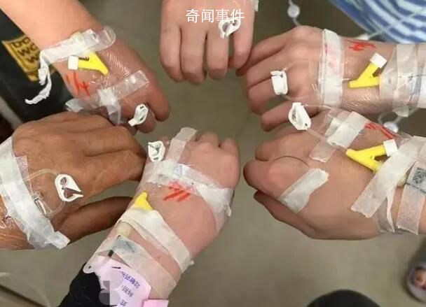 一家六口掃墓后誤采毒草食用中毒 誤把化兒草當成血皮菜食用