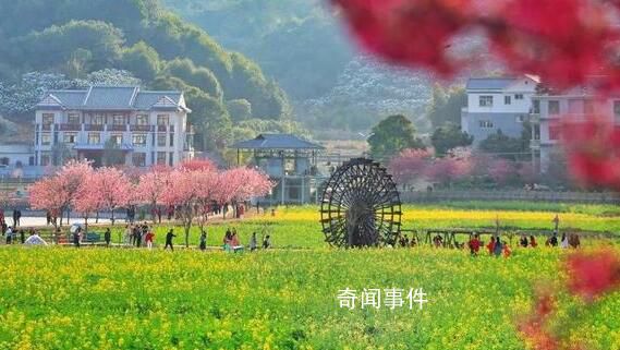 出游正值好春光 長線游需求走高