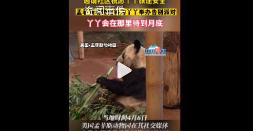 孟菲斯動(dòng)物園將為丫丫舉辦告別派對(duì) 丫丫會(huì)在那里待到月底