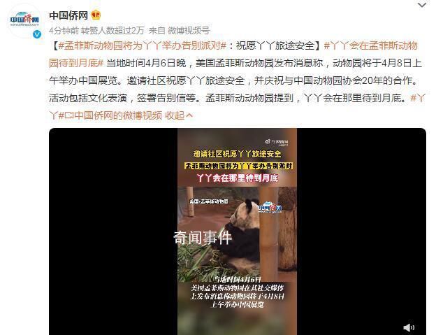 丫丫會(huì)在孟菲斯動(dòng)物園待到月底 將為丫丫舉辦告別派對(duì)