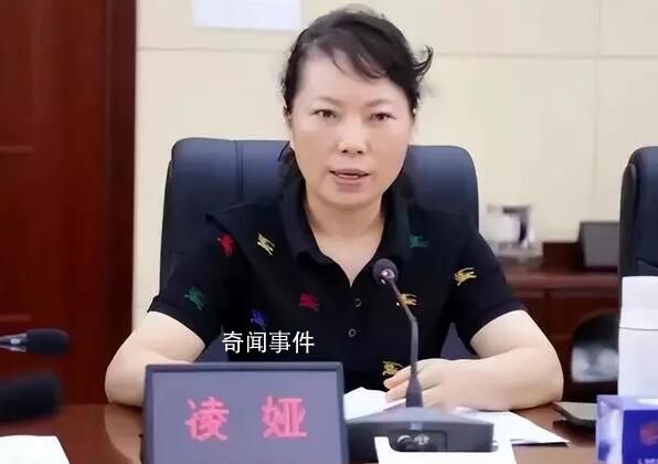 凌婭投案背后:曾恐嚇舉報(bào)人并涉吸毒