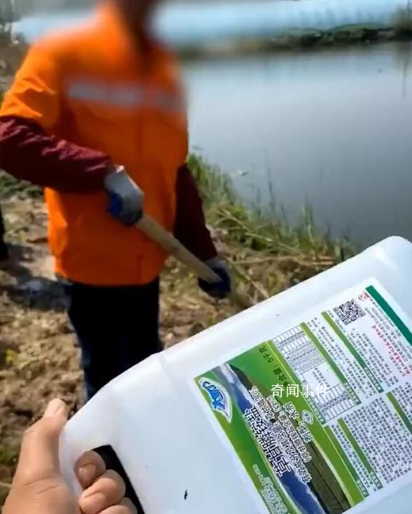 河道管理員疑除草毒死70畝菜 有關部門已經接到了菜農的報警