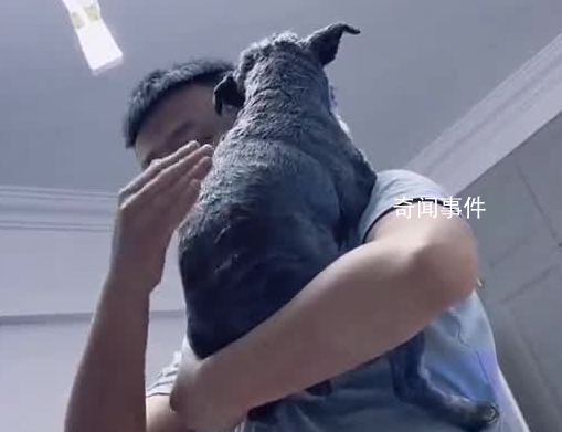 新手爸爸拿狗狗練拍嗝 全程輕手輕腳動作溫柔細膩