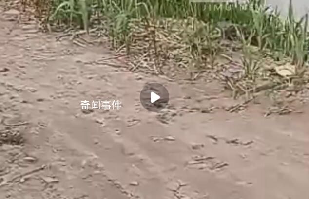 村民稱交萬(wàn)元鋪路費(fèi)8年還未修成 村干部：當(dāng)年錢沒收齊