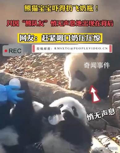 熊貓寶寶嚇到奶瓶都扔了 實在是令人哭笑不得