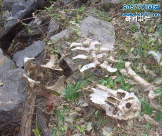 河南焦作封門村靈異事件 封門村到底發生了什么事 封門村鬧鬼是真的嗎