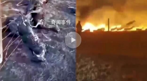 中蒙邊境草原起火 圍欄掛滿羊焦尸