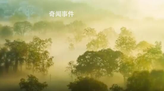 光芒中,有你! 415全民國家安全教育日