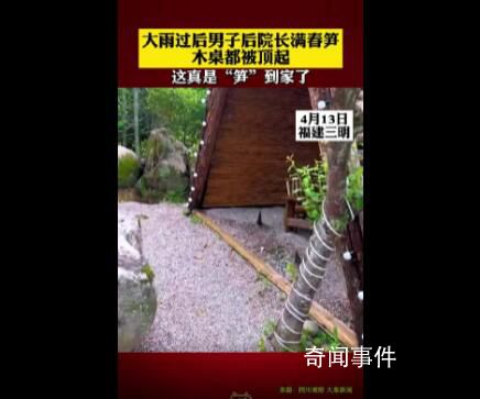 雨后春筍2天長(zhǎng)30厘米頂翻木桌 雨后春筍為什么長(zhǎng)得那么高