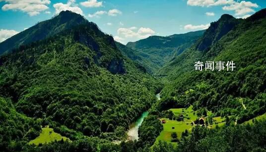 綠了青山,火了日子
