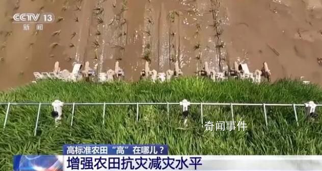 全國累計超10億畝的高標準農田 農業生產有序開展