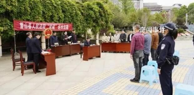2600歲古楠木王已安排專(zhuān)人看護(hù) 已裝攝像頭