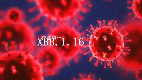 國家疾控局回應XBB.1.16流行情況 什么是XBB.1.16變異株