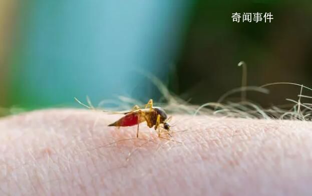 今年深圳首份“蚊子地圖”出爐 425個監(jiān)測點中不合格的監(jiān)測點中密度有3個