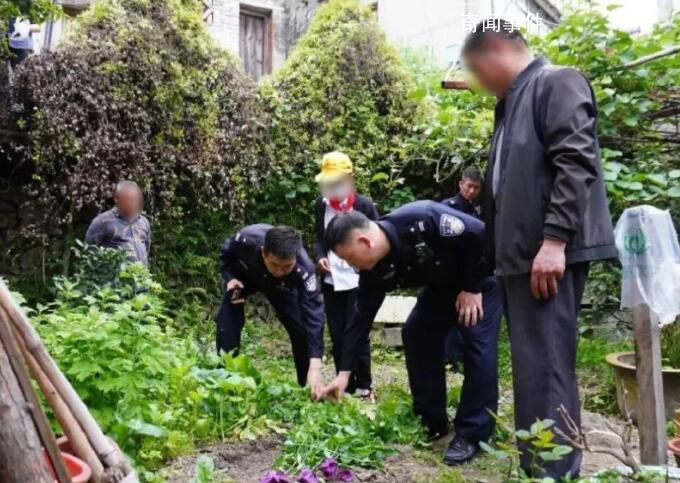 浙江小學生看到罌粟報警 榮膺禁毒小衛士