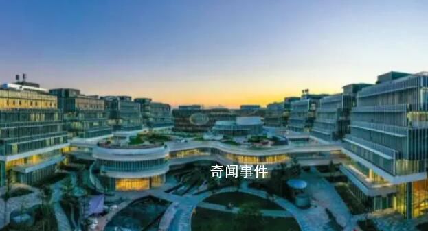 專業調整后不小心成了絕版人才 未來的職業出路在哪
