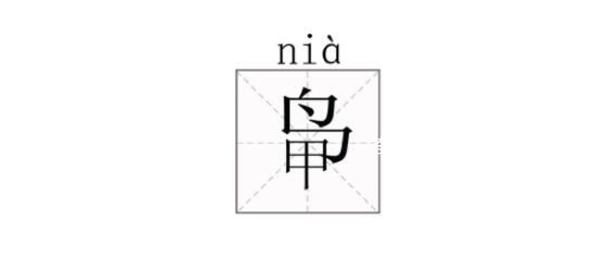 有人姓“茍” 擔心孩子受嘲笑而改姓