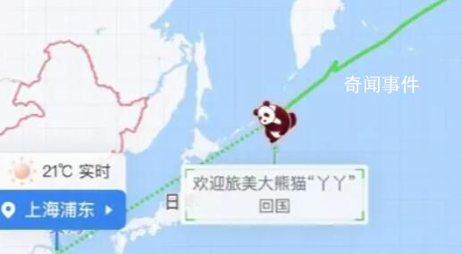 丫丫回國航線圖上飛機(jī)圖標(biāo)變熊貓 今天下午將落地上海