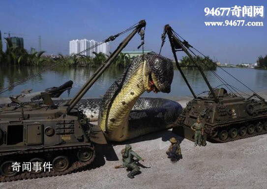 民間關于蛇的傳說有哪些 世界關于蛇的神話傳說有哪些
