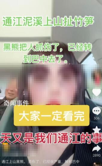 四川村民上山揀野菌被熊襲擊 目前已無生命危險