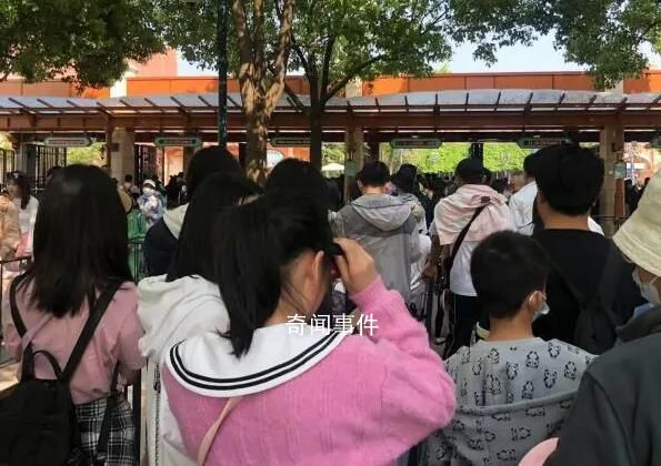 杭州小學生提前出游家長熬夜搶門票 不約而同做起這件事