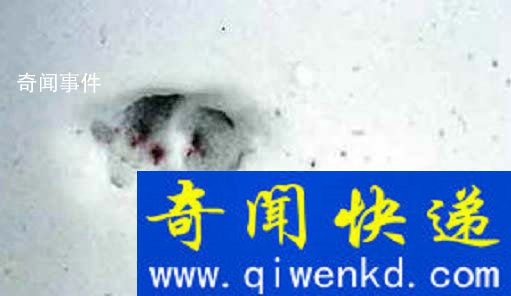 全球十大神秘詭異事件有哪些 世界十大詭異事件未解之謎