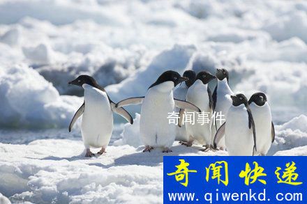 人類身體12大極限是什么 人類在生理上和心理上能夠承受的終極極限是什么