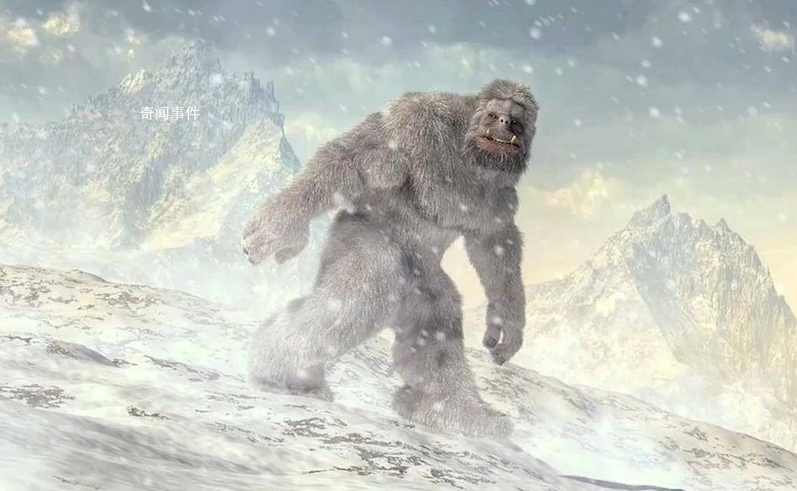 喜馬拉雅雪人之謎 喜馬拉雅的雪人到底存不存在