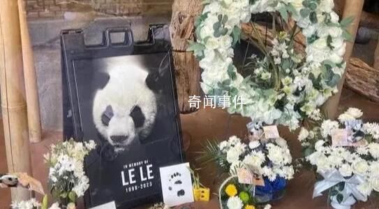 官方:樂樂遺體將用于科學研究