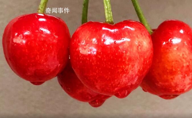 男子路邊嘗大爺櫻桃沒買被收2元 理論無果就付了錢